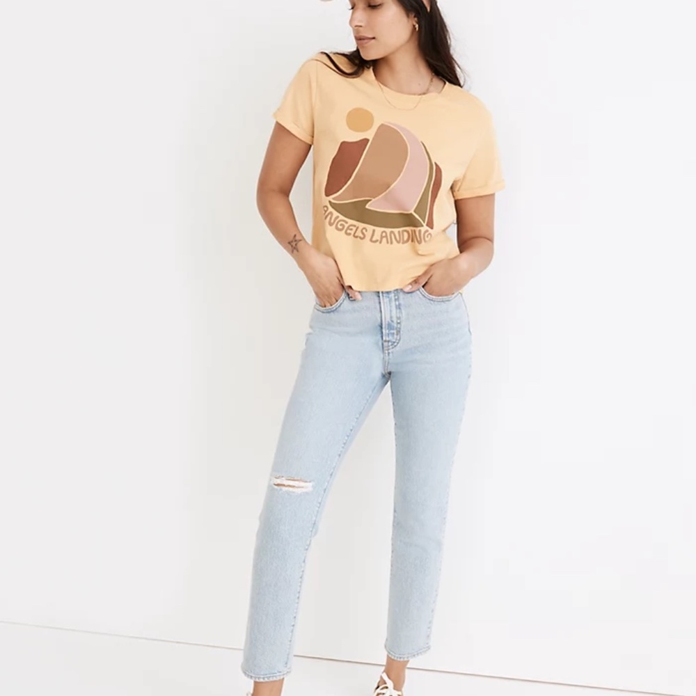 Madewell x Parks Project Angel's Landing Organic Cotton Boxy Tee - Picture 2 of 6